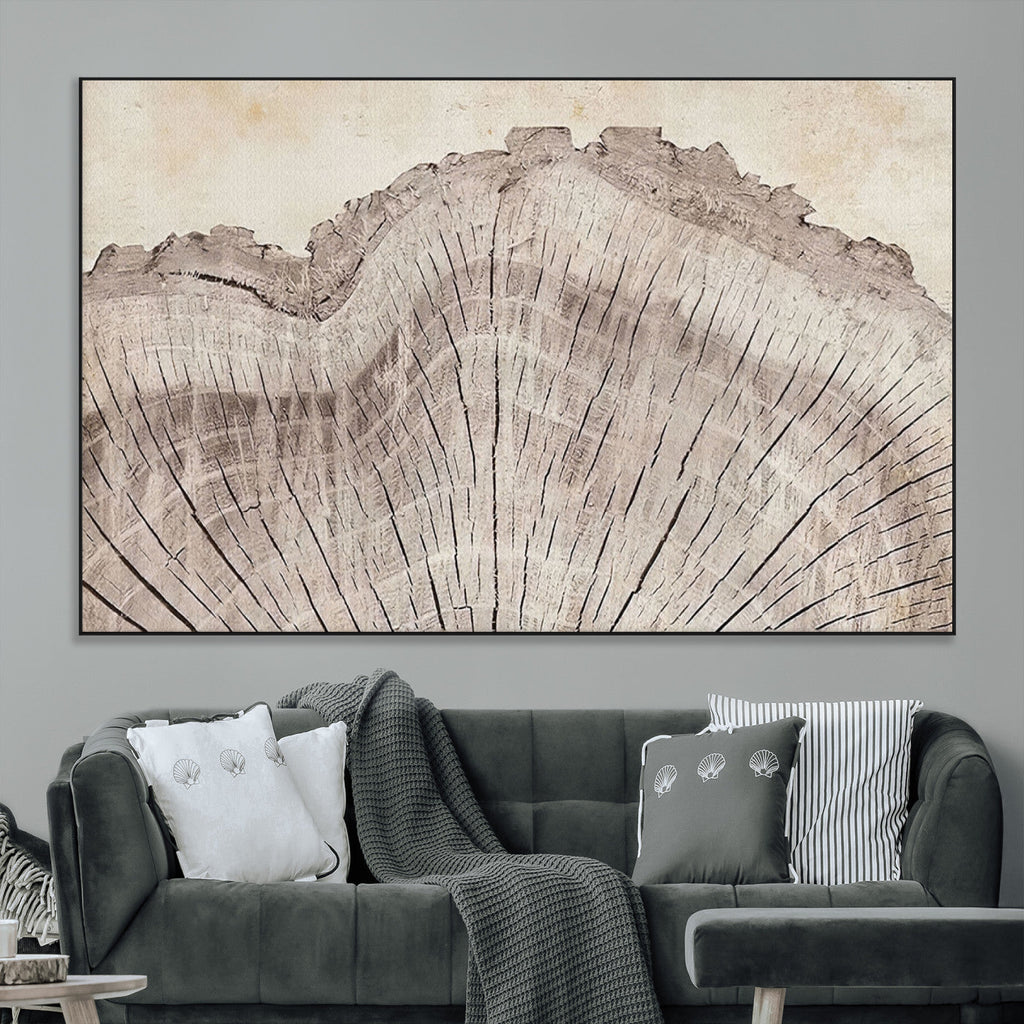 Tree Ring Wall Art Triptych, Rustic Wood Ring Canvas Print