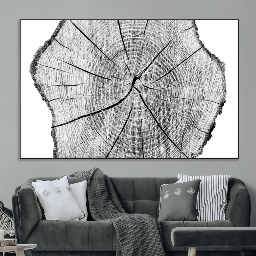 Rustic Tree Ring Wall Art Canvas Print, Framed and Ready to Hang