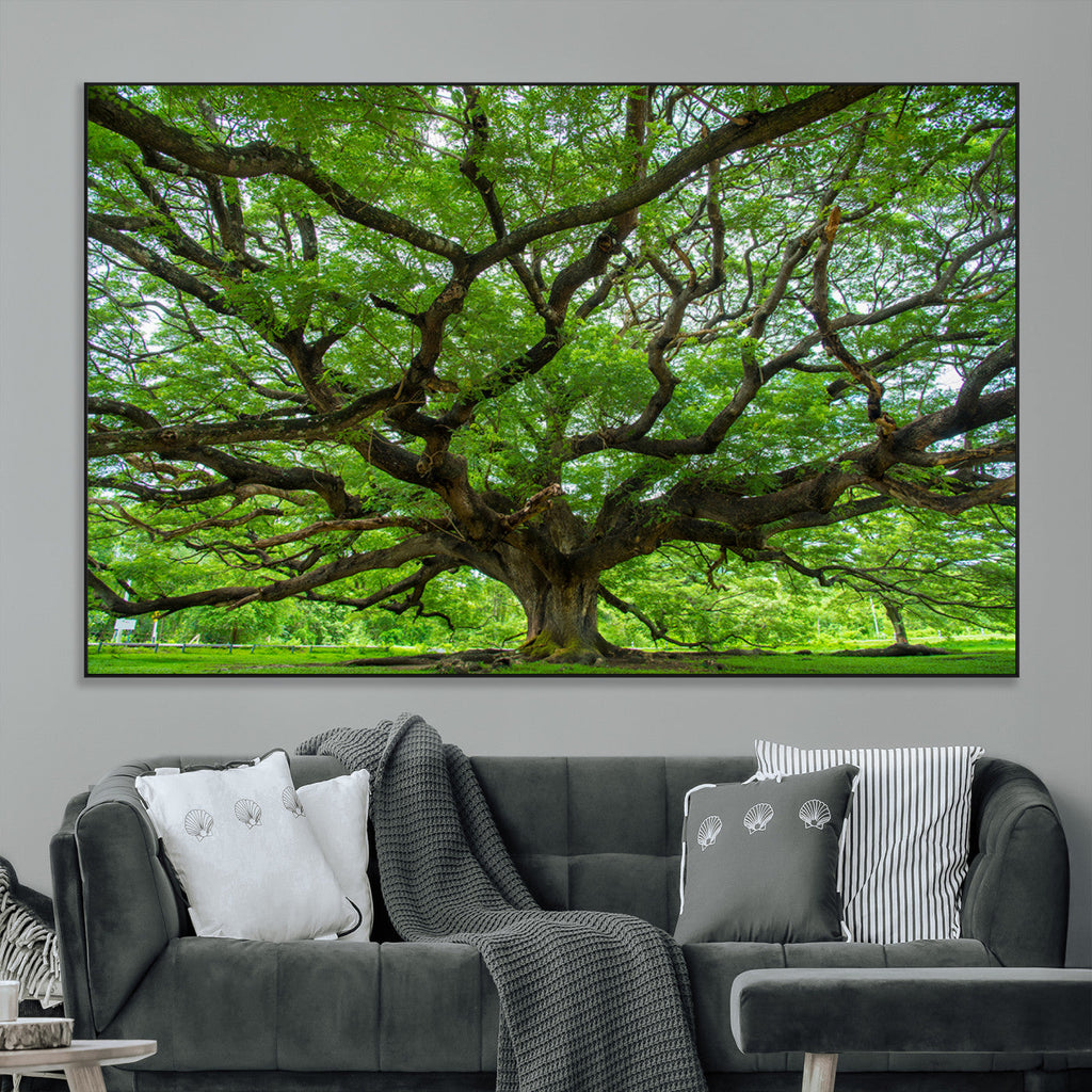 Ancient Tree Wall Art Canvas Print, Framed Sprawling Branches