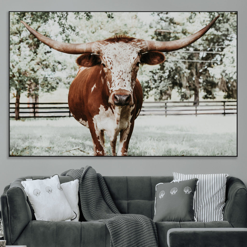Texas Longhorn Wall Art Canvas Print | Framed Spotted Brown and White Bull