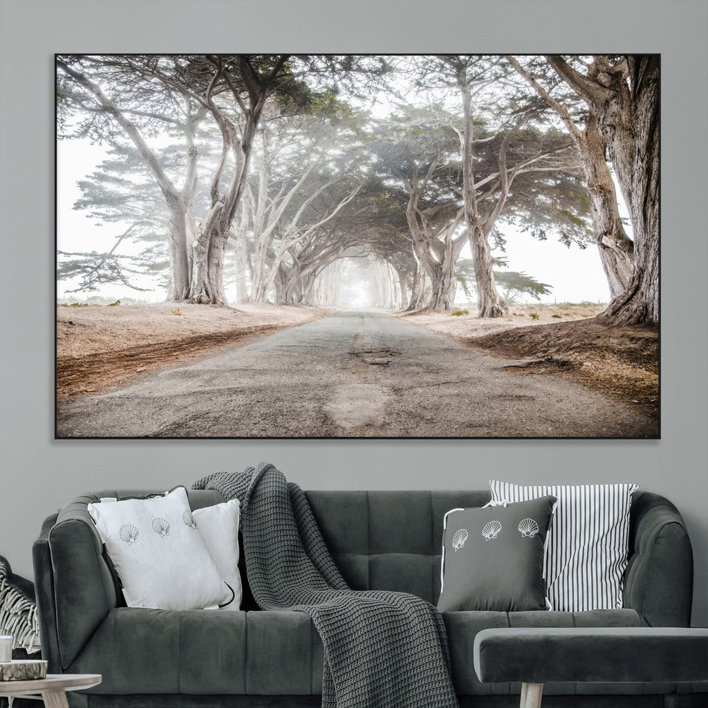 Cypress Tunnel Wall Art | Framed Misty Road Canvas Artwork