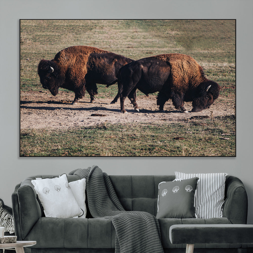 Bison Wall Art Canvas Print, Framed Western Wildlife Modern Ranch