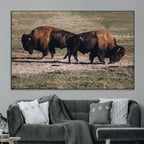 Bison Wall Art Canvas Print, Framed Western Wildlife Modern Ranch