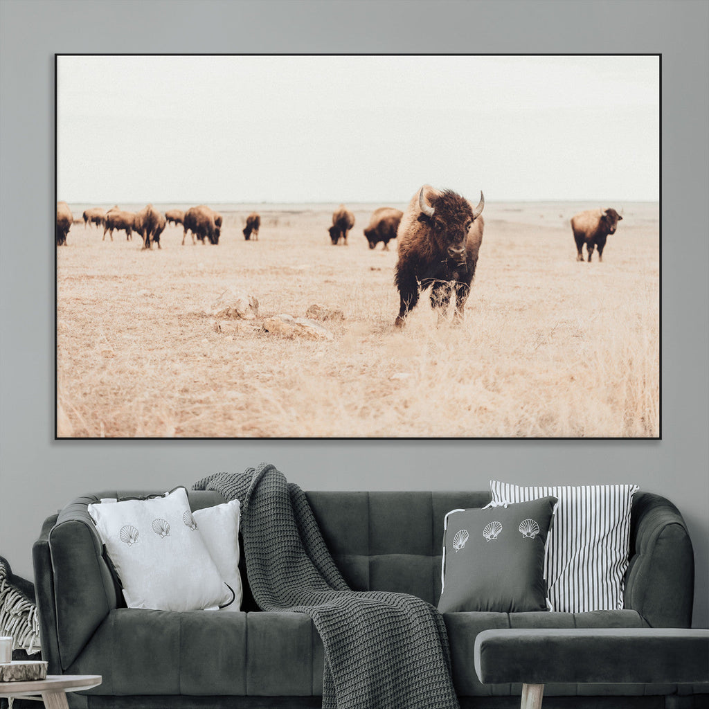 Bison Herd Wall Art Canvas Print, Framed Western Prairie Serenity