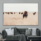 Bison Herd Wall Art Canvas Print, Framed Western Prairie Serenity