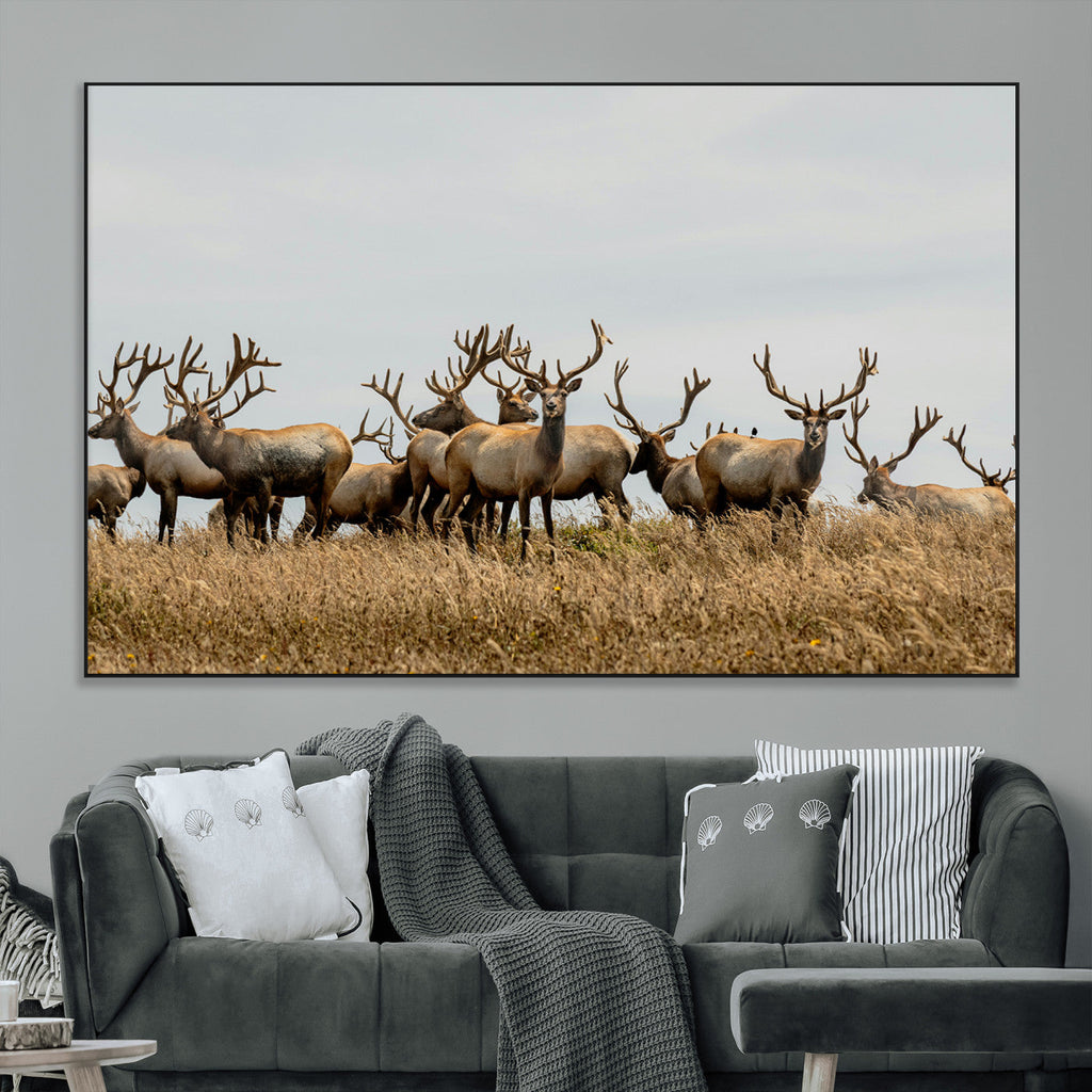 Elk Herd Wall Art Canvas Print, Framed Wildlife Photography Art, Majestic Antlers Rustic Wildlife Decor