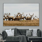 Elk Herd Wall Art Canvas Print, Framed Wildlife Photography Art, Majestic Antlers Rustic Wildlife Decor