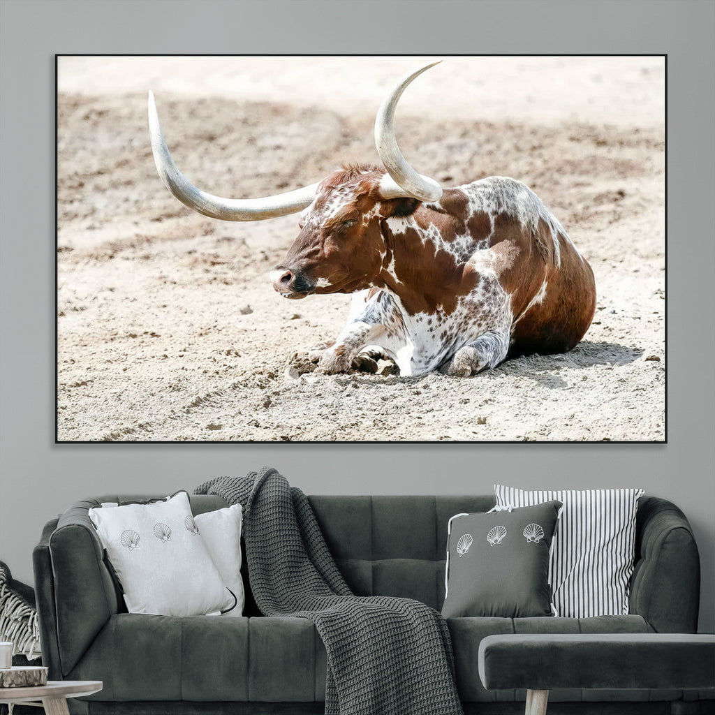 Majestic Longhorn Wall Art Canvas Print, Resting on Sunlit Desert Ground