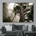 Misty Forest Wall Art Canvas Print, Framed Tall Trees in Foggy Atmosphere
