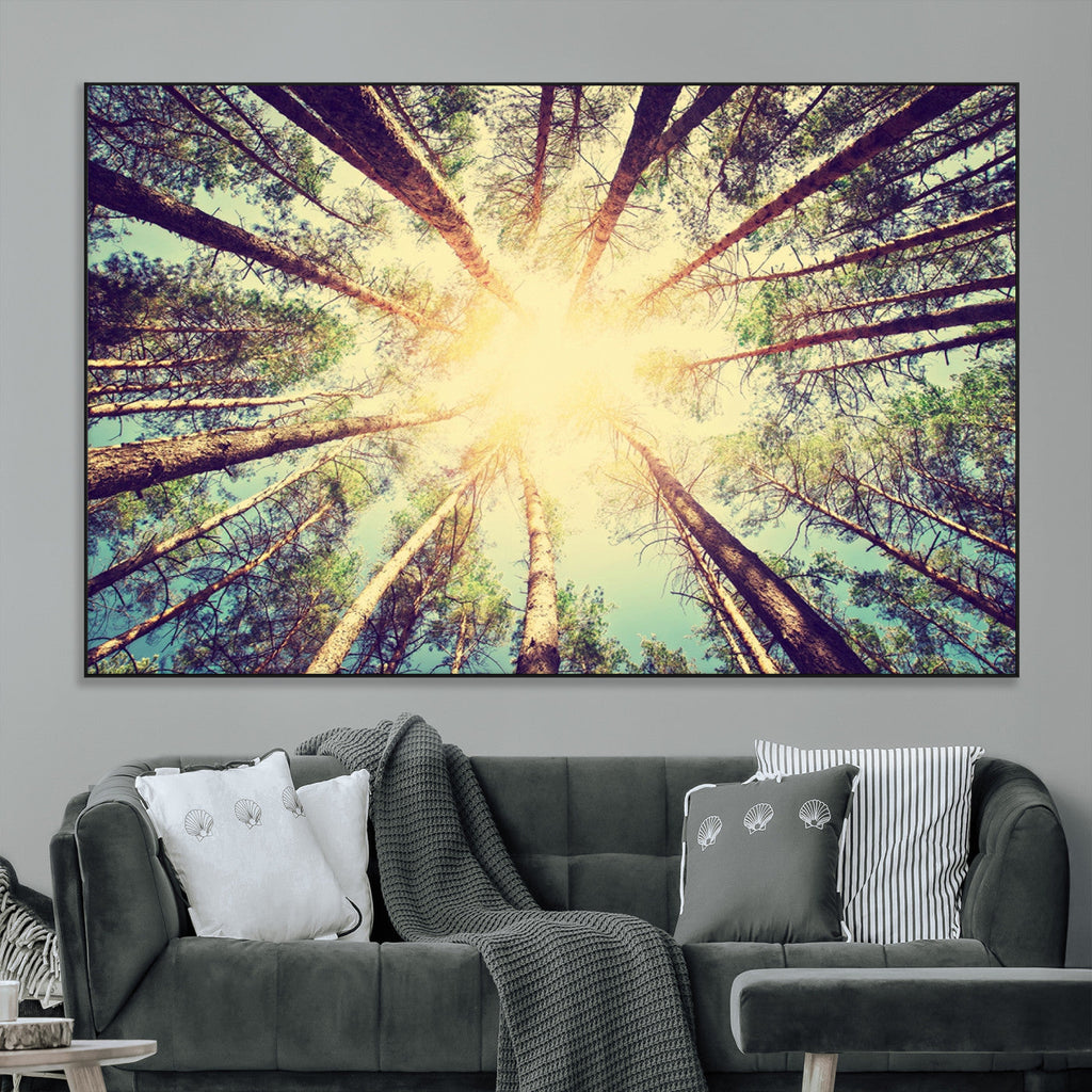 Tree and Sunshine Canvas Print