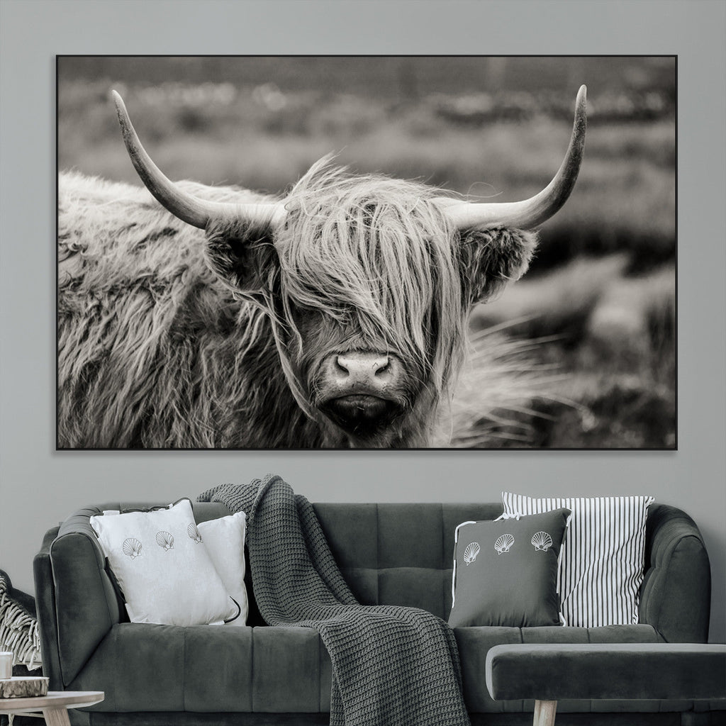 Cow Focus Canvas Wall Art Print