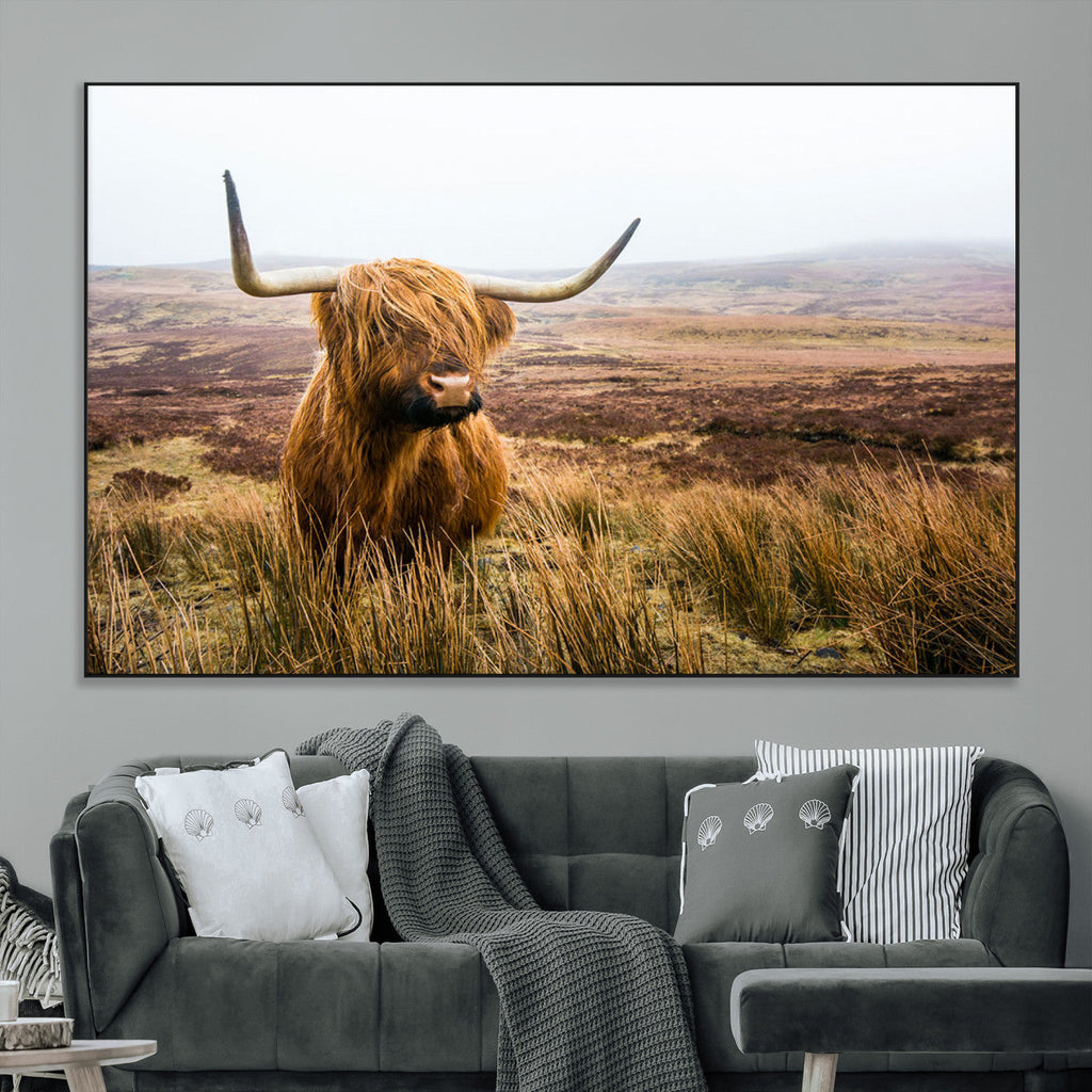 Scottish Highland Cow Canvas Wall Art, Rustic Farmhouse Decor