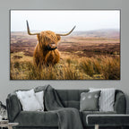 Scottish Highland Cow Canvas Wall Art, Rustic Farmhouse Decor