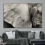 Elephant Wall Art Canvas Print