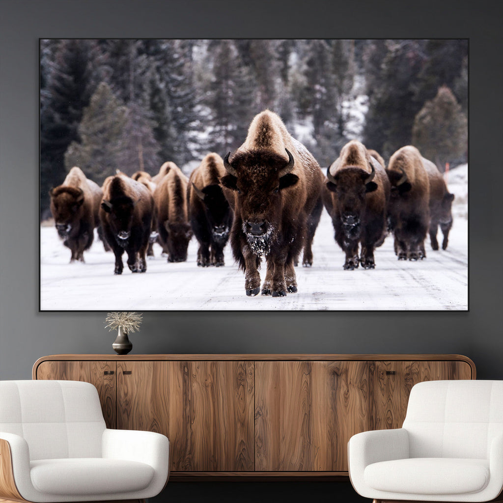 Bison Wall Art Canvas Print, Bison Herd Canvas Wall Art