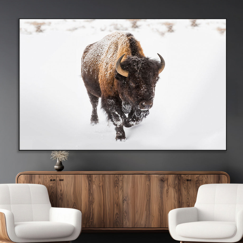Bison Winter Wall Art Canvas Print For Farmhouse Decor