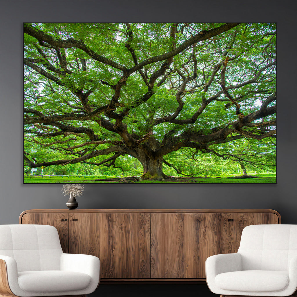 Ancient Tree Wall Art Canvas Print, Framed Sprawling Branches