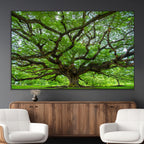 Ancient Tree Wall Art Canvas Print, Framed Sprawling Branches