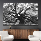 Ancient Oak Wall Art Canvas Print | Gnarled Tree with Twisted Branches