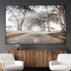 Cypress Tunnel Wall Art | Framed Misty Road Canvas Artwork