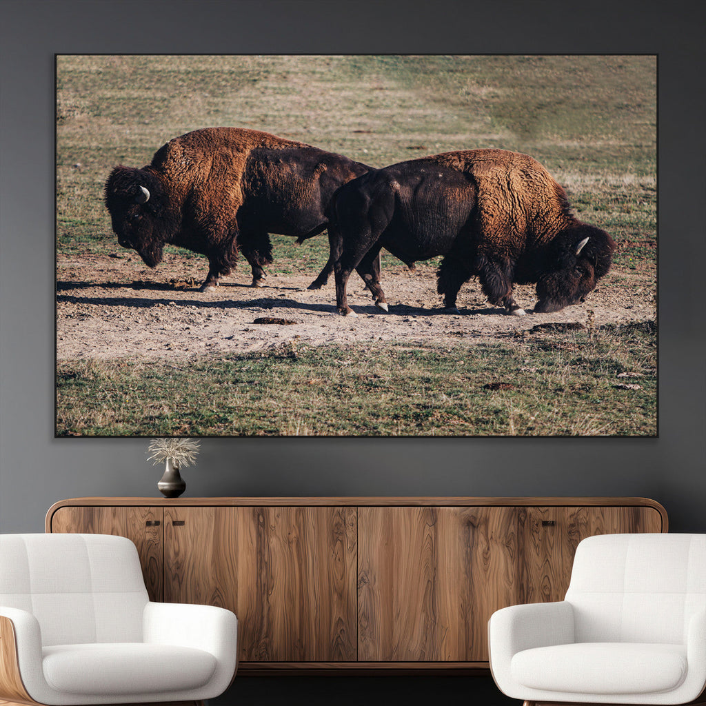Bison Wall Art Canvas Print, Framed Western Wildlife Modern Ranch
