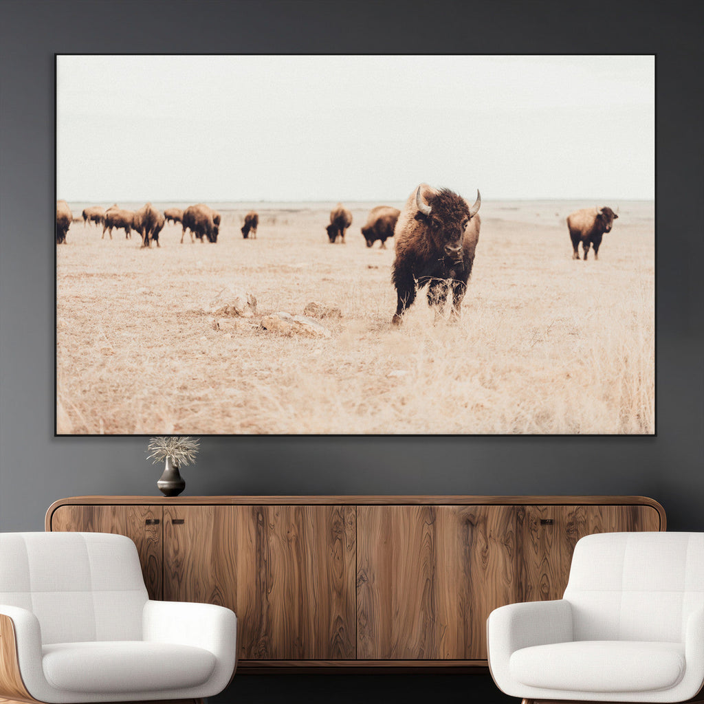 Bison Herd Wall Art Canvas Print, Framed Western Prairie Serenity