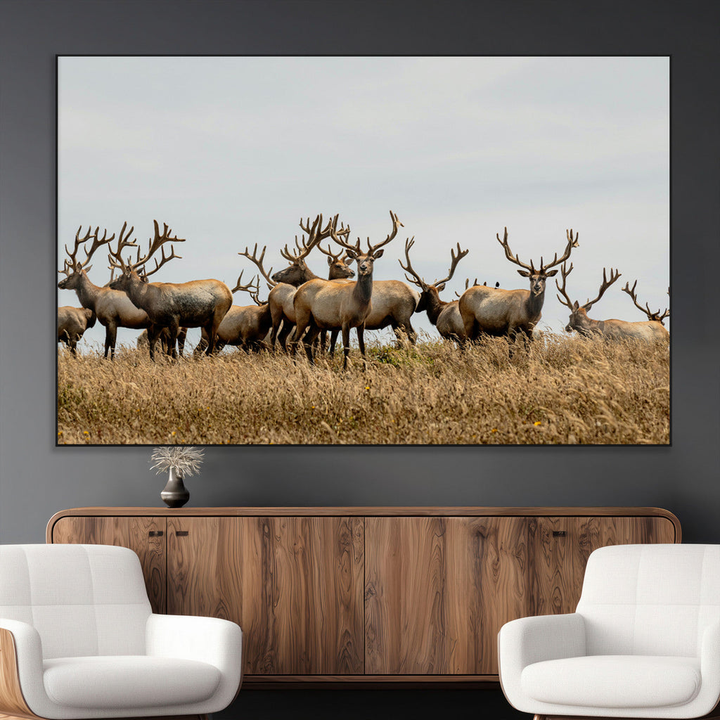 Elk Herd Wall Art Canvas Print, Framed Wildlife Photography Art, Majestic Antlers Rustic Wildlife Decor