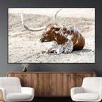 Majestic Longhorn Wall Art Canvas Print, Resting on Sunlit Desert Ground