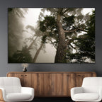 Misty Forest Wall Art Canvas Print, Framed Tall Trees in Foggy Atmosphere