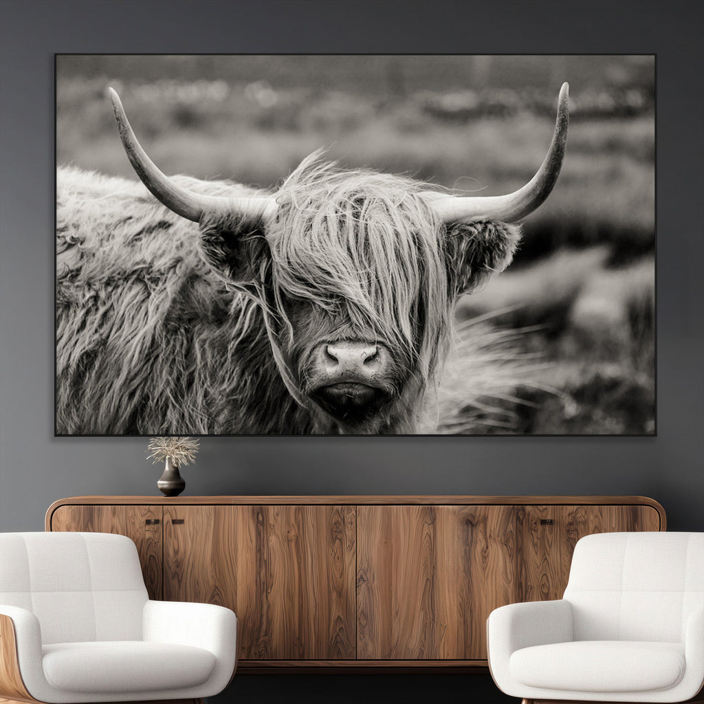 Cow Focus Canvas Wall Art Print