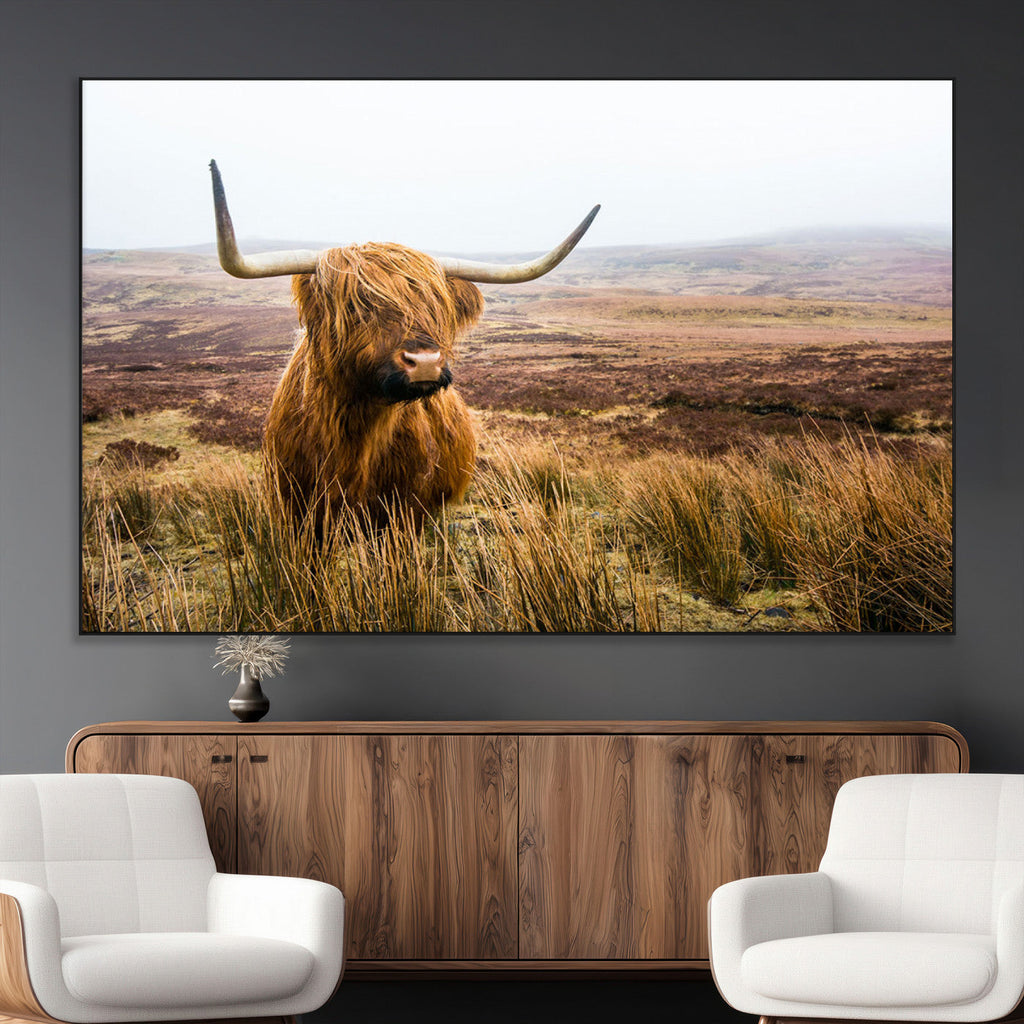 Scottish Highland Cow Canvas Wall Art, Rustic Farmhouse Decor