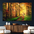 Sunlight Through Trees Wall Art Canvas Print | Autumn Forest Wall Art
