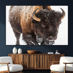 Bison Wall Art Canvas Print For Farmhouse, Wild Animal Wall Art