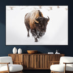 Bison Winter Wall Art Canvas Print For Farmhouse Decor