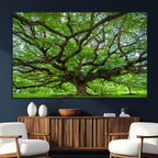 Ancient Tree Wall Art Canvas Print, Framed Sprawling Branches