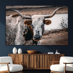 Texas Longhorn Wall Art Canvas Print | Framed Brown and White Spotted Longhorn