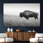 Bison Wall Art Canvas Print, Framed Rustic Wildlife Scene with Wild Buffalo