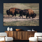 Bison Wall Art Canvas Print, Framed Western Wildlife Modern Ranch