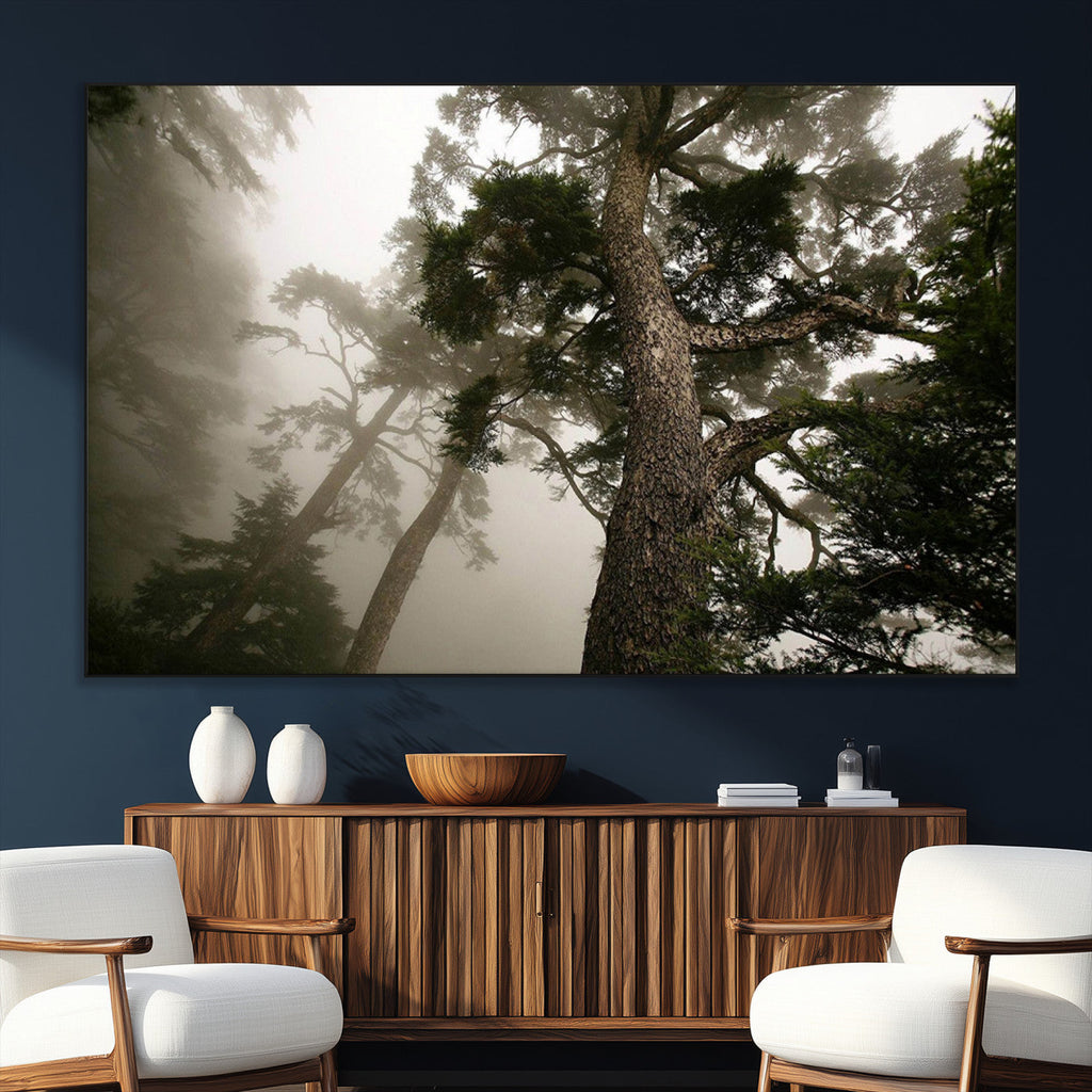 Misty Forest Wall Art Canvas Print, Framed Tall Trees in Foggy Atmosphere