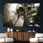 Misty Forest Wall Art Canvas Print, Framed Tall Trees in Foggy Atmosphere