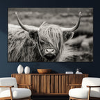 Cow Focus Canvas Wall Art Print