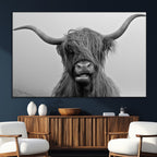 Texas Cow Wall Art Canvas, Texas Longhorn Cattle Canvas Print