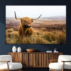 Scottish Highland Cow Canvas Wall Art, Rustic Farmhouse Decor