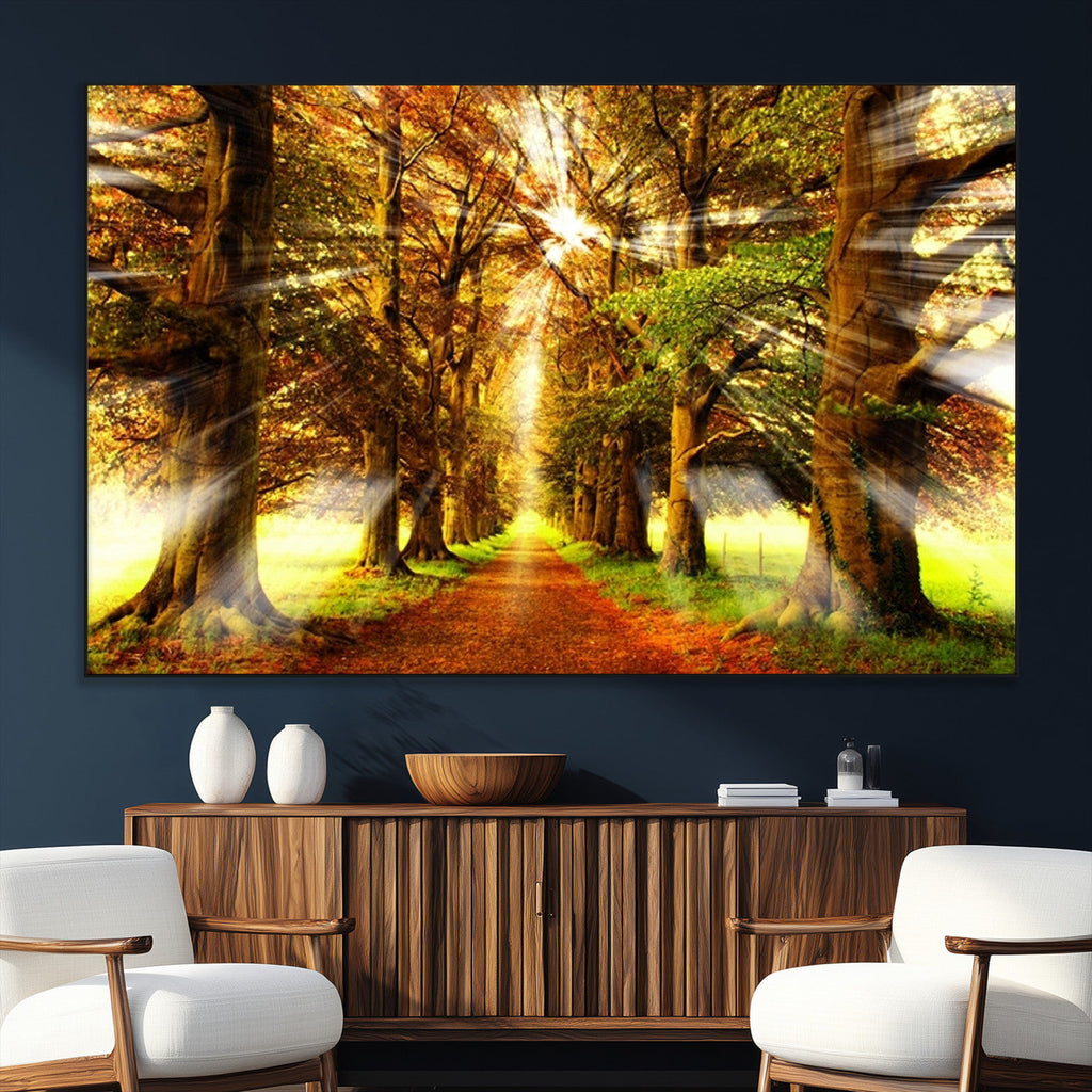 Sunshine in Forest and Trees Wall Art Canvas Print