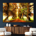 Sunshine in Forest and Trees Wall Art Canvas Print