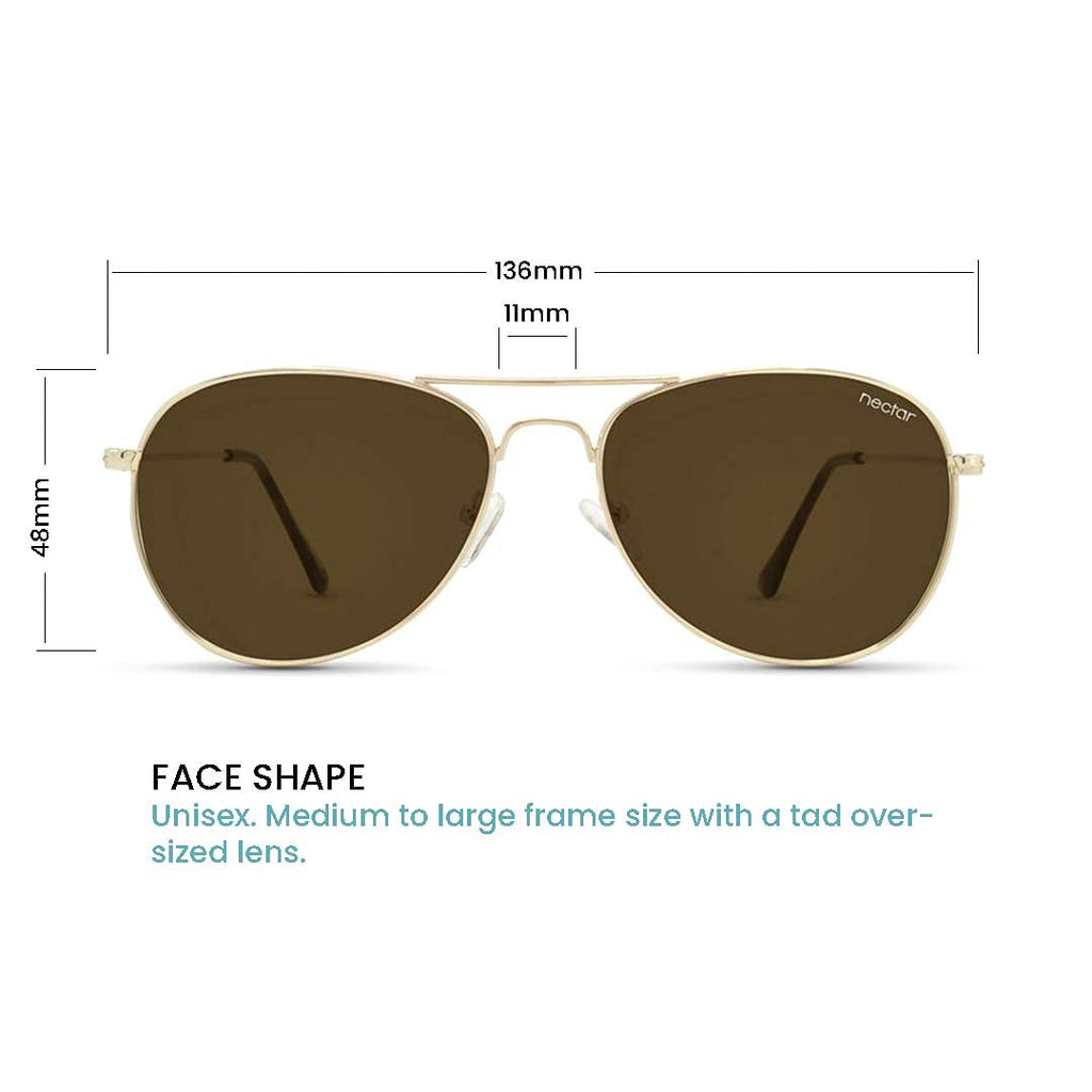 Kitty Hawk Sunglasses