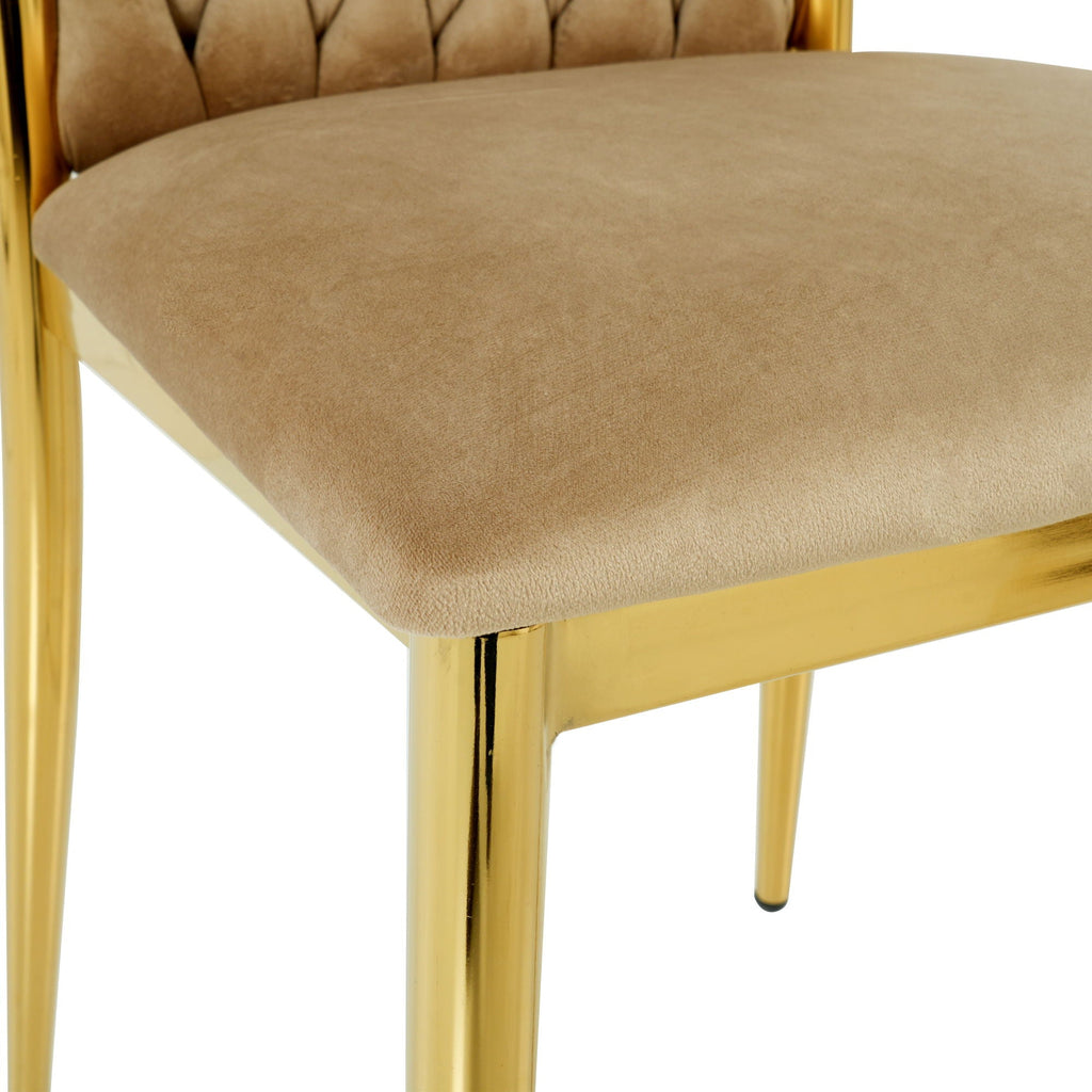 Modern Dining Chair