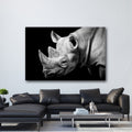 Rhino