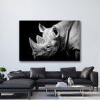 Rhino