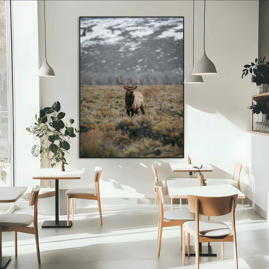 Wild Elk Wall Art Canvas Print, Framed Mountain Wilderness Majestic Animal Artwork